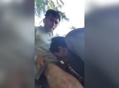 Outside in the trees