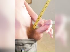 13 cm dick red bush big head