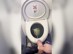 Pissing on a flight