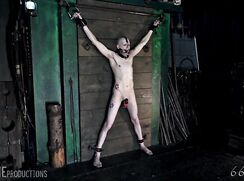 Totally Dehumanized butters
