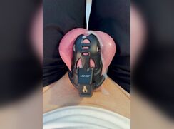 Shaved Cock Cums Handsfree In Chastity