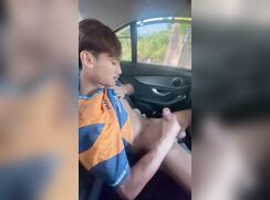 carsolo