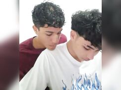 Dos toros jóvenes seduciendose entre sí.