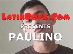 la b Paulino