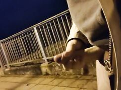 Uncut Train Station Wank (no sound)