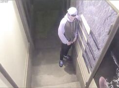 DB - Caught Piss in the Hallway