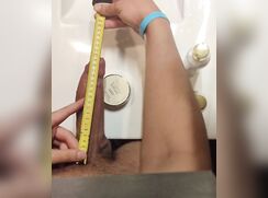 22cm / 8.5 inches Measured Cock