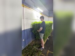 Cruiser in the bushes.  Ok, if you say so.