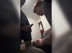 Too nervous to suck the dick