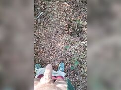 Pie in the woods