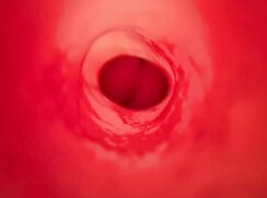 Camera inside a fleshlight