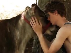 Gay films: 'Brockton Hollow' UK 2010