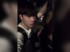 Asian public park facial
