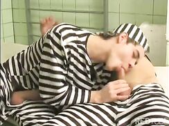 Prison Pounding Gay Porn Videos