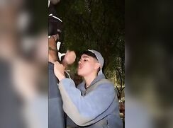 dick sucking public bareback twinks
