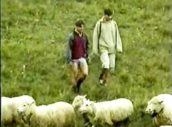 Bel Ami - Frisky Summer 2 Part 1