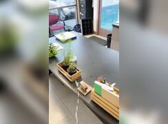 # Amateur - Cream of the watering the plants in his office