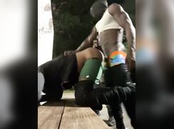 Sex in the wild