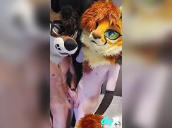 Young top furry creampies his boyfriend gay porn