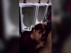 quick bathroom blowjob between classes