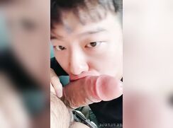 He's a dedicated cocksucker and dick-pleaser