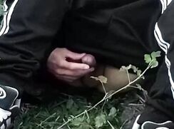 Die Kraft kommt aus dem Boden, in sein Schwanz.