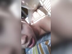 Moaning Latino bottom on squeaky bed